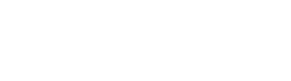 Fortis Vision